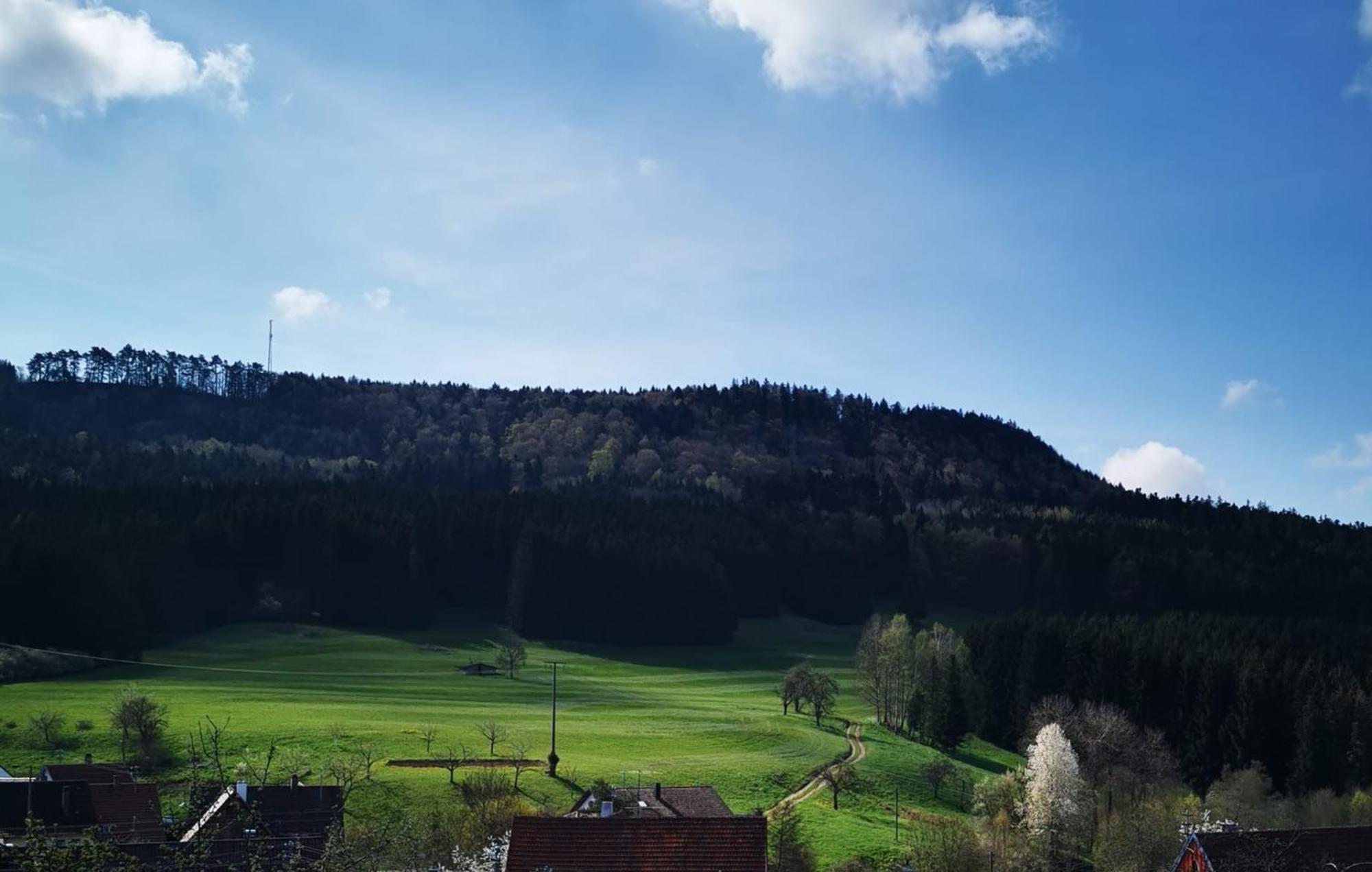 Ferienwohnung Blick Rappenstein Hausen am Tann Extérieur photo