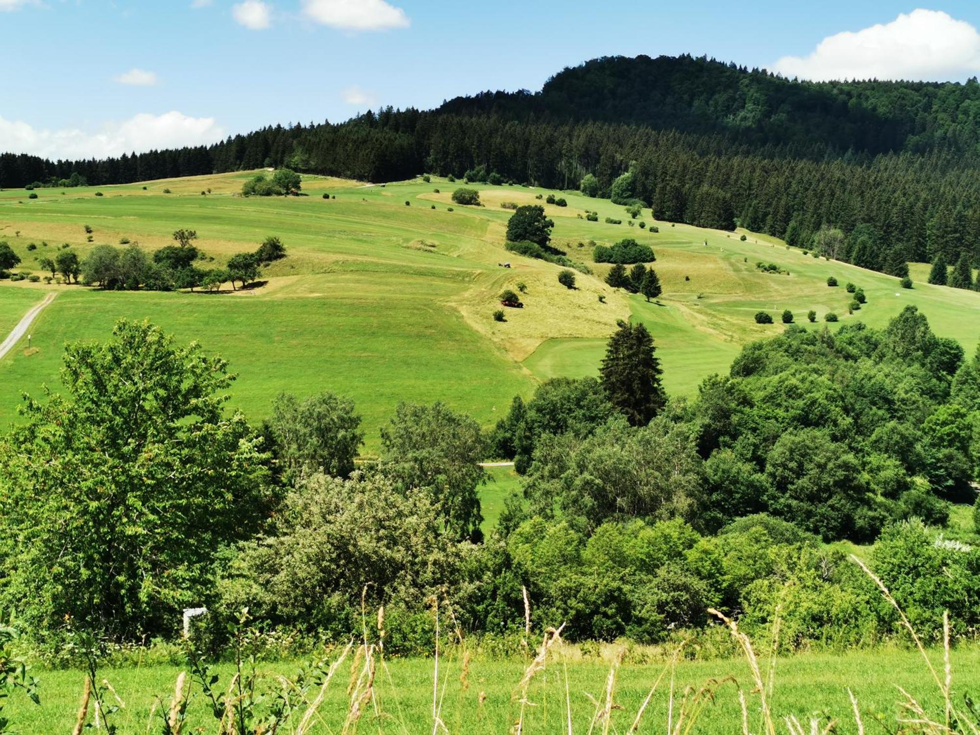Ferienwohnung Blick Rappenstein Hausen am Tann Extérieur photo